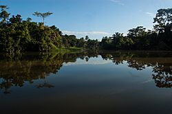 Costa Rica - Caribbean Sea - Parismina (Eco-Tourism) - 06.jpg