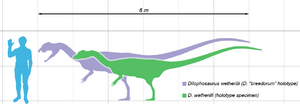 Archivo:Dilophosaurus scale
