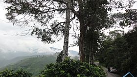 Archivo:El Águila (10), Valle, Colombia