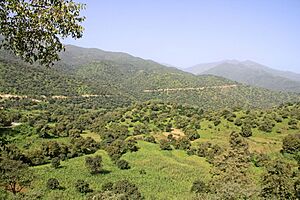 Archivo:Eri landscape