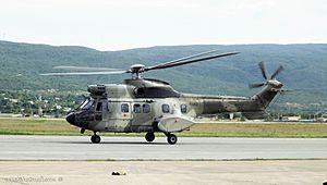 Archivo:Eurocopter AS 532 Cougar