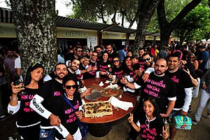 Archivo:Festa albariño 2015