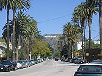 Archivo:Hollywood neighborhood