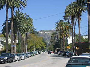 Archivo:Hollywood neighborhood
