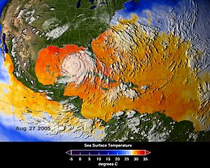 Archivo:NASA ASMR-E image of average SSTs of Hurricane Katrina