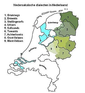 Archivo:Nedersaksische dialecten