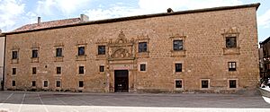Archivo:Palacio-condes-de-miranda-o-de-avellaneda