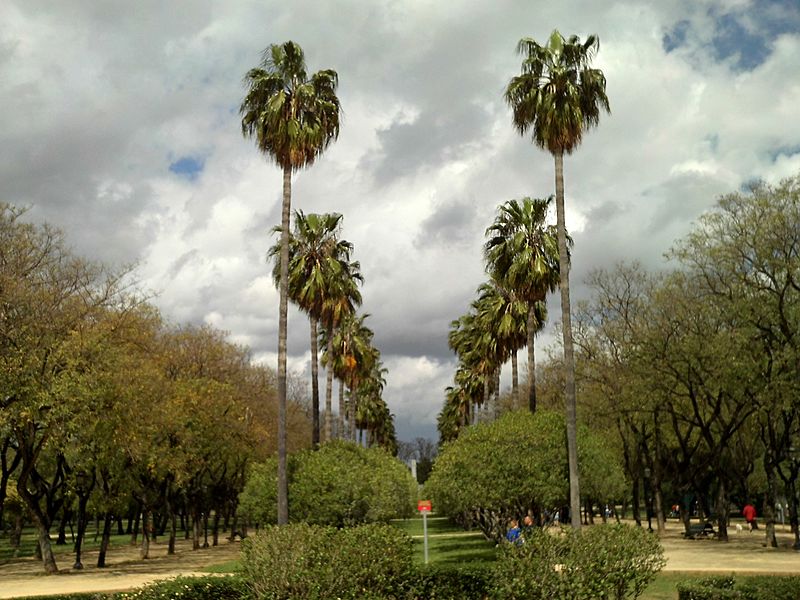 Parque Amate 01