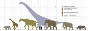 Archivo:Patagotitan vs Mammals Scale Diagram SVG Steveoc86