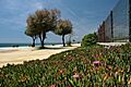 Platja de Ponent - panoramio