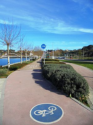 Archivo:Pontevedra capital Carril bici Paseo del Lérez