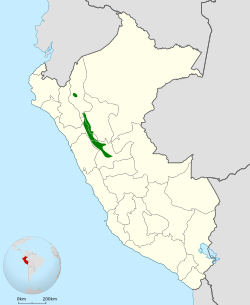 Distribución geográfica del hemispingo cejirrufo.