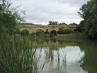 Río Guadalmellato - Puente Mocho (Alcolea).jpg