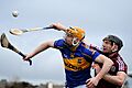Séamus Callanan and Aidan Harte