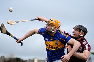 Archivo:Séamus Callanan and Aidan Harte