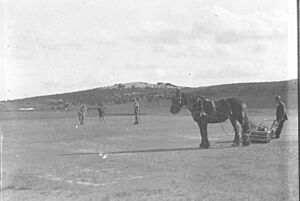 Archivo:SLNSW 8483 The horsedrawn mower makes a vignette of a player putting