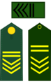 SM1EJB