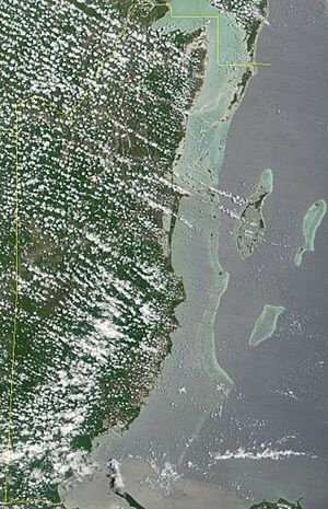 Archivo:Satellite image of Belize in May 2001
