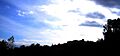 VillasavarySilhouette