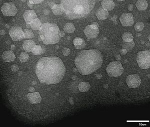 Archivo:Xe nanoparticles in Al
