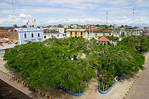 Archivo:Yurimaguas-Plaza de Armas-1