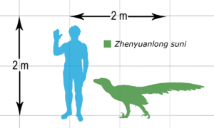 Archivo:Zhenyuanlong size chart