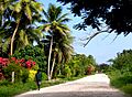 Approaching Eton, Efate, Vanuatu, 4 June 2006 - Flickr - PhillipC