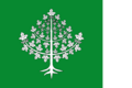 Bandera de Ars.svg