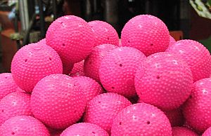 Archivo:Bandyball1