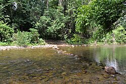 Belize - panoramio (30).jpg