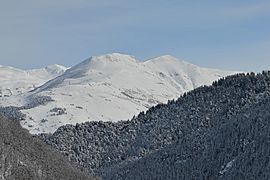 Bonh de Garòs e Tuc der Ombrèr.jpg