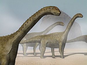 Archivo:Camarasaurus BW