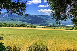 Campezo - Kanpezu, Araba, Spain - panoramio.jpg
