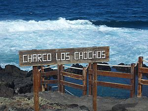 Archivo:Cartel Charco Los Chochos . Los Silos