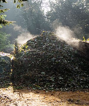 Archivo:Compost Heap