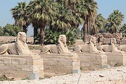 Archivo:Egyptian sculpture on Avenue of Sphinxes (45765061544)