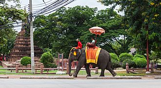 Elefantes, Ayutthaya, Tailandia, 2013-08-23, DD 02