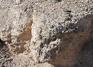 Archivo:Fault breccia Keystone Thrust Red Rock Canyon NV