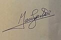 Firma del Presidente electo Yamandú Orsi.jpg