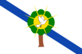 Flag of Morelia (Caquetá)