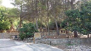 Archivo:Fonts del Mortit, Sagra