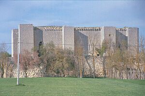 Archivo:Fundación Joaquín Díaz - Castillo - Villalba de los Alcores (Valladolid) (3)