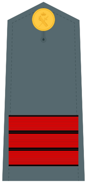 Guardiacivildivi25