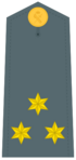 Divisa de capitán