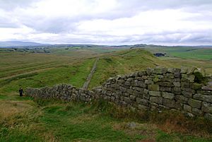 Archivo:Hadrian's Wall view near Greenhead