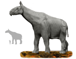 Indricotherium.png
