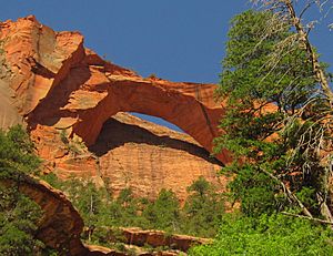 Archivo:Kolob Arch 3a