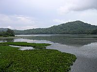 Archivo:Lake in Gamboa, Panama 02