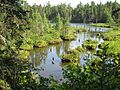 Lake near Wood Islands, PEI (28333978255)
