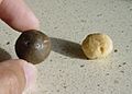 MacNut2